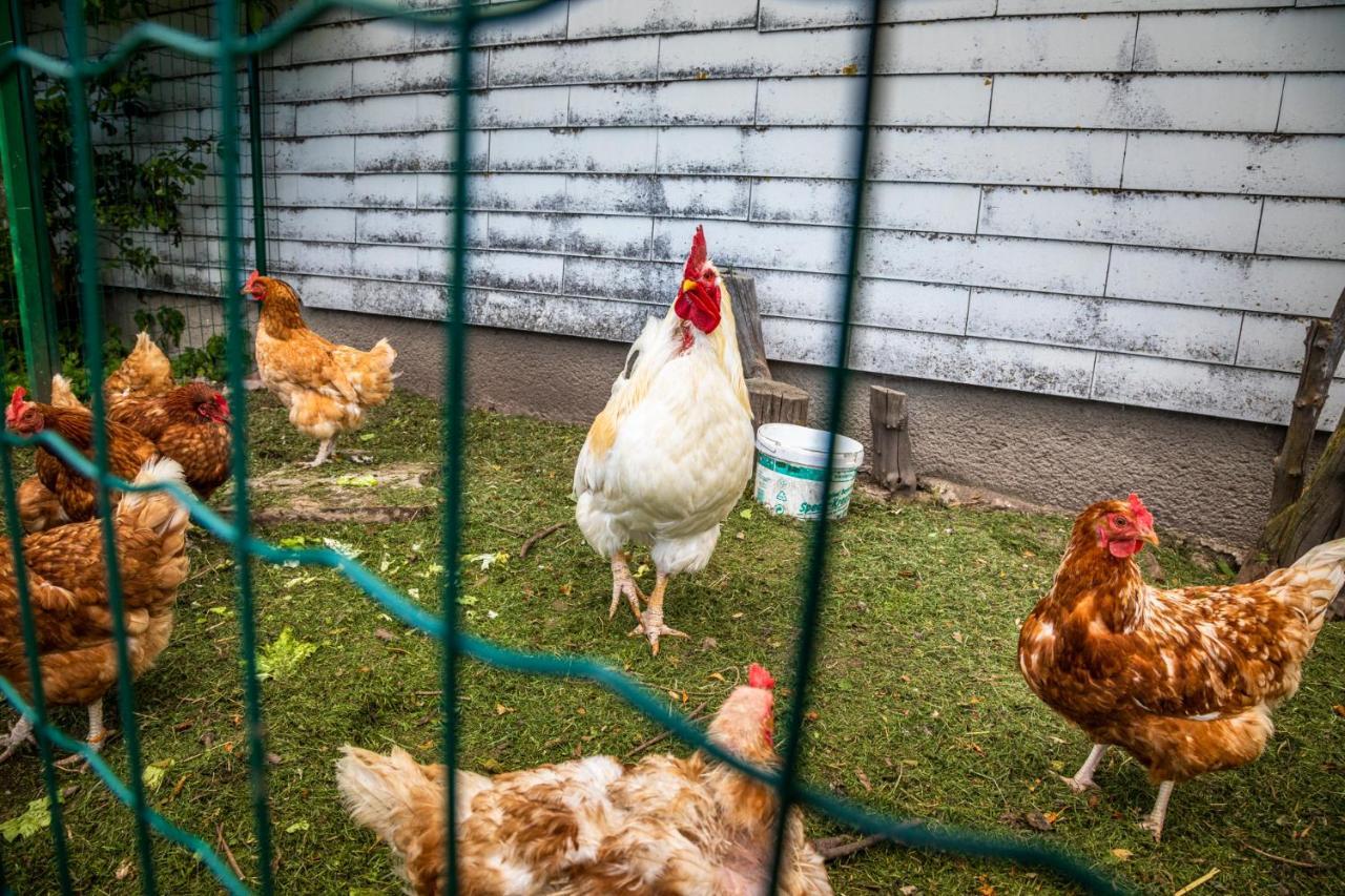 Apartament Biohof Untergrabenbauer Lidaun Zewnętrze zdjęcie